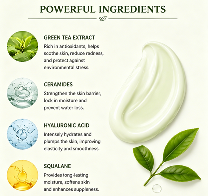 NOVELOVE® Green Tea Hydration Sleeping Cream